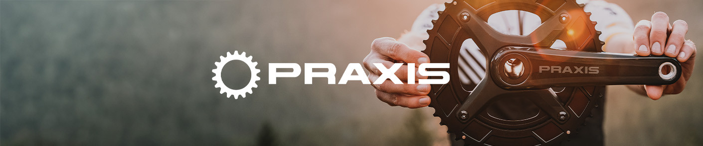 praxis_brandbanner_header_1410x294 praxis_brandbanner_header_1410x294